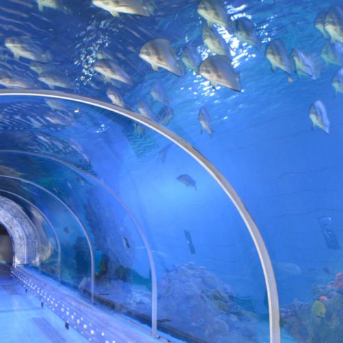 Aquarium-hurghada-pym1glgvbrcp55ridw4adnn6kc7g164z3xlkebz8g8