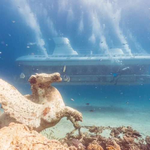 Hurghada-Submarine-1-pyej5sxk3qmpyga7dpbrr6s6ny1mrrkd8zbq7rx6yw