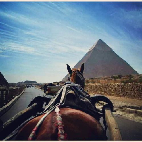 pyramids-psakkvgi2mr8ywt4pl8z7u8i8cik5woa8s37gogrrc
