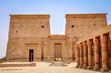 فيله (3)