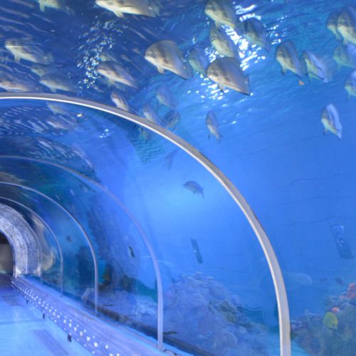 Aquarium hurghada