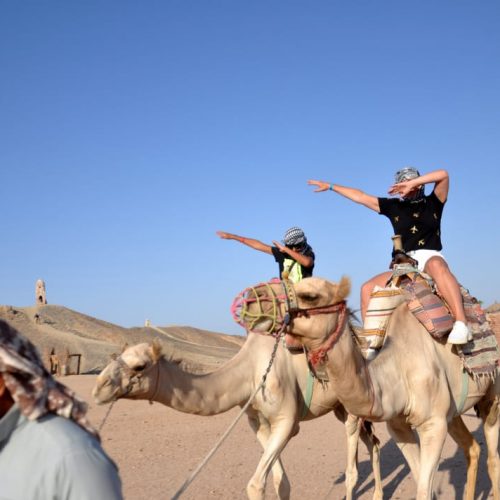 Camel riding tour
