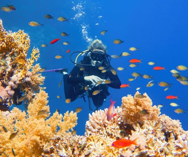 Diving Hurghada
