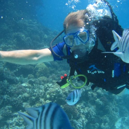 Diving-Hurghada