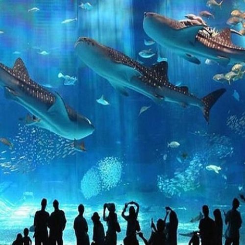 Grand aquarium hurghada