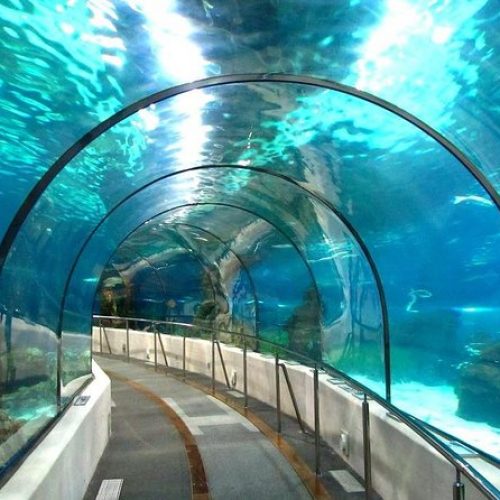 Grand aquarium