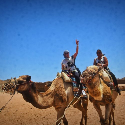 Camel ride
