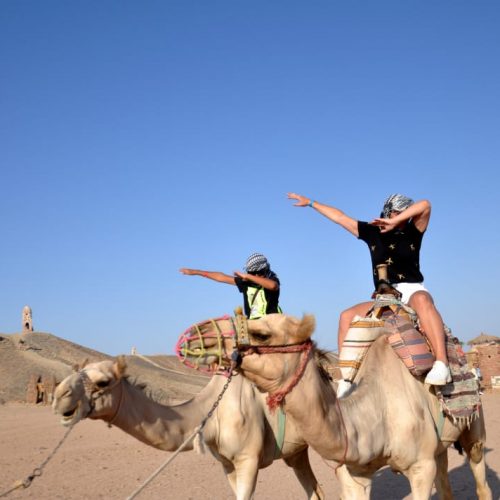 Camel ride