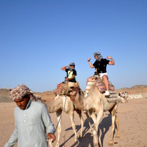 Camel ride