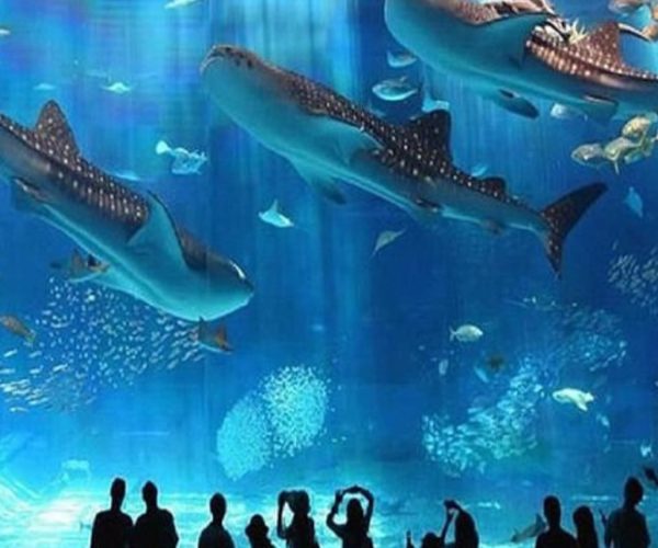 grand aquarium